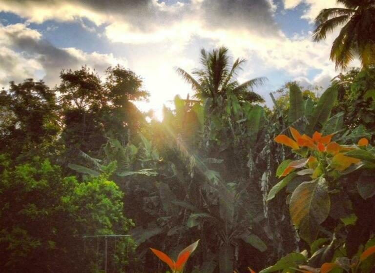 חדר סטודיו סטנדרד, Heavenly Hana Paradise