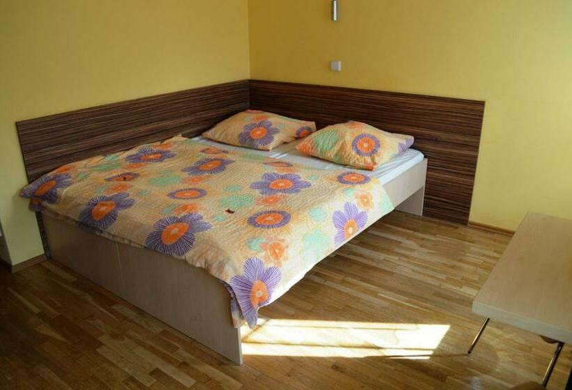 غرفة قياسية, Penzion 103