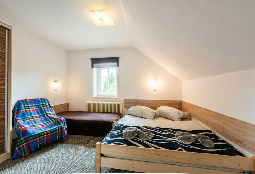 غرفة قياسية ثلاثية, Penzion 103