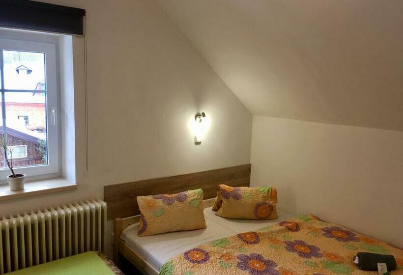 غرفة قياسية ثلاثية, Penzion 103