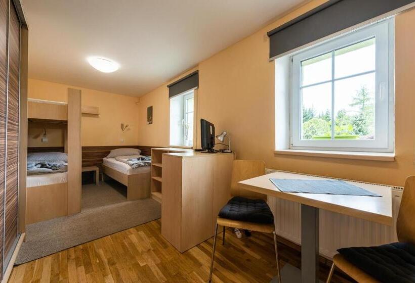 شقة غرفة واحدة, Penzion 103