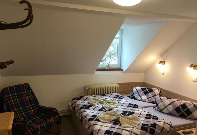 غرفة قياسية, Penzion 103