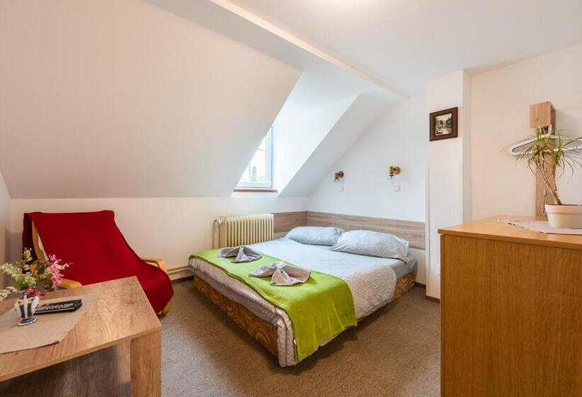 غرفة قياسية, Penzion 103