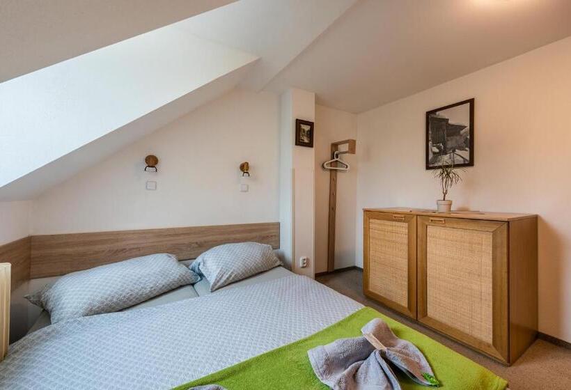 غرفة قياسية, Penzion 103