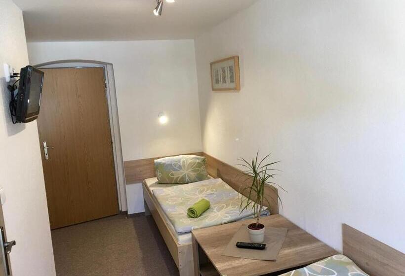 Номер Стандарт, Penzion 103