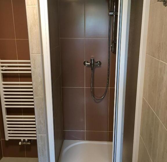 غرفة قياسية مطلّة علي الحديقة, Penzion 103