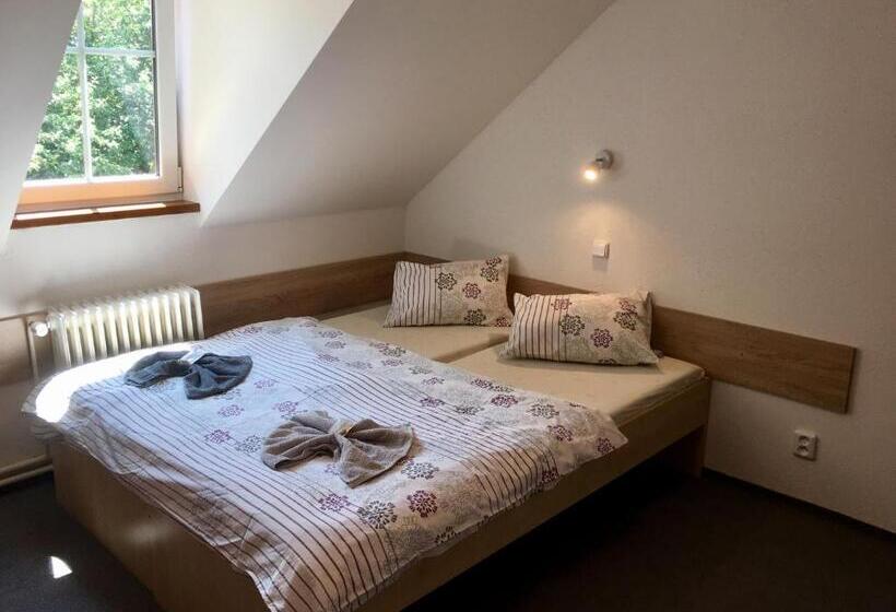 غرفة قياسية مطلّة علي الحديقة, Penzion 103