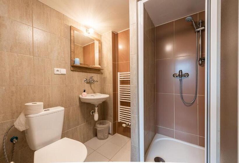 غرفة قياسية مطلّة علي الحديقة, Penzion 103