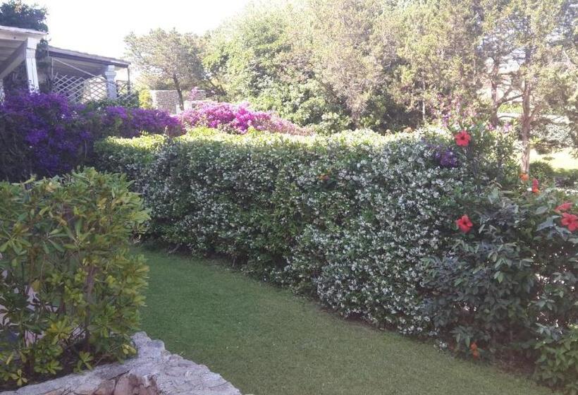 إستديو عائلى, Sole&luna Apartments