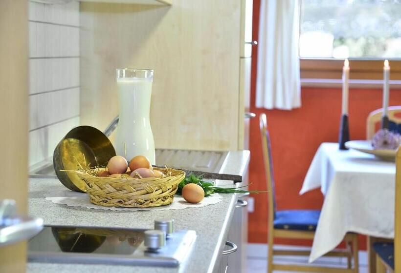 带1个卧室的带阳台的公寓, Fuchshof