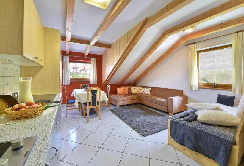 带1个卧室的带阳台的公寓, Fuchshof