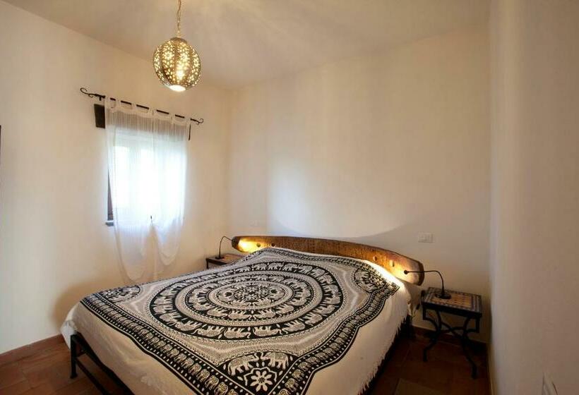 דירת חדר, Sasseta Alta