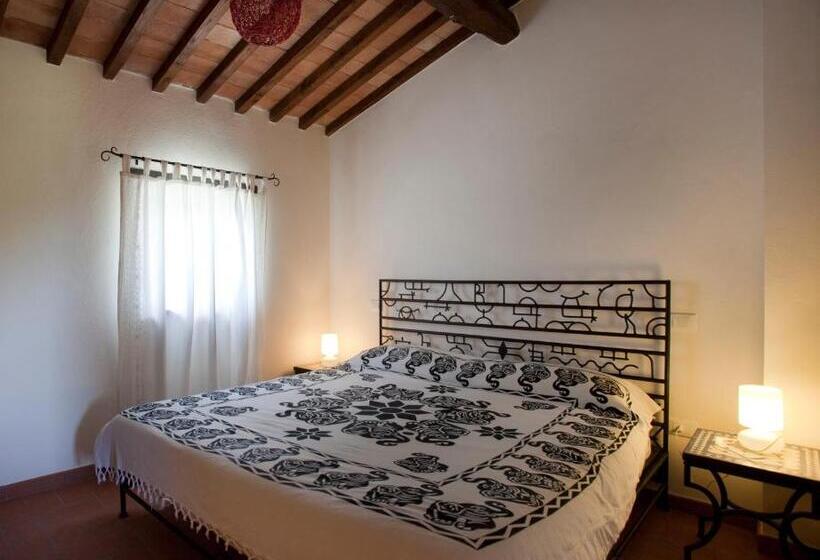 דירת חדר, Sasseta Alta