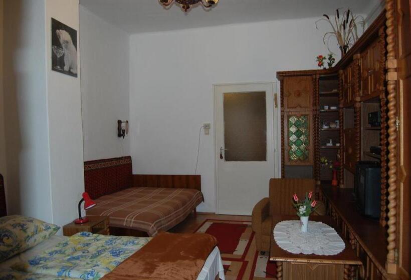 غرفة قياسية حمام مشترك, Zách Klára Utcai Apartman