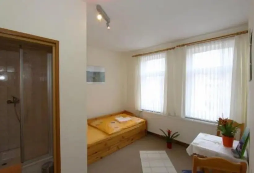 Standard Yhden Hengen Huone, Pension Thaler Hof
