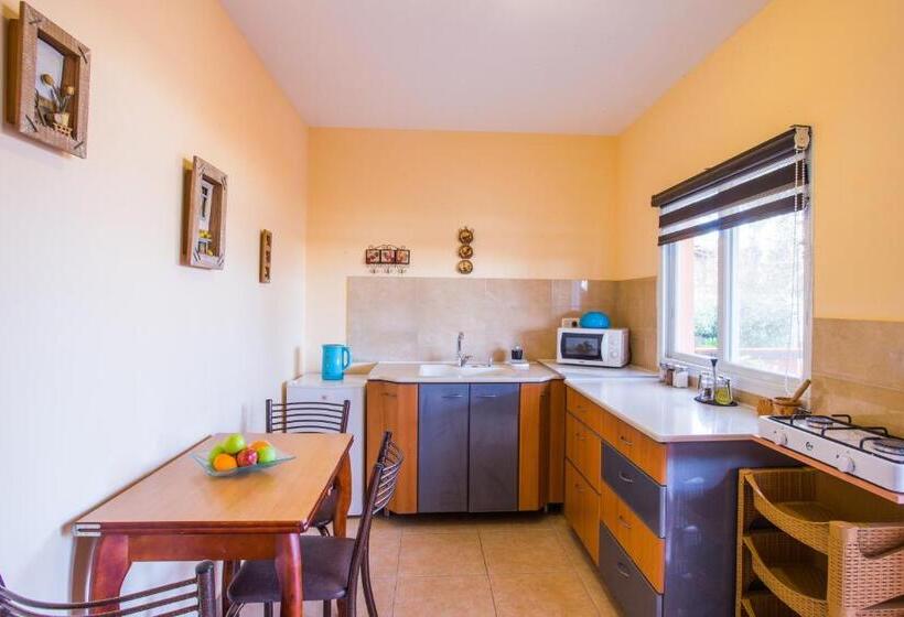 디럭스 룸, Dead Sea Sun Guest House