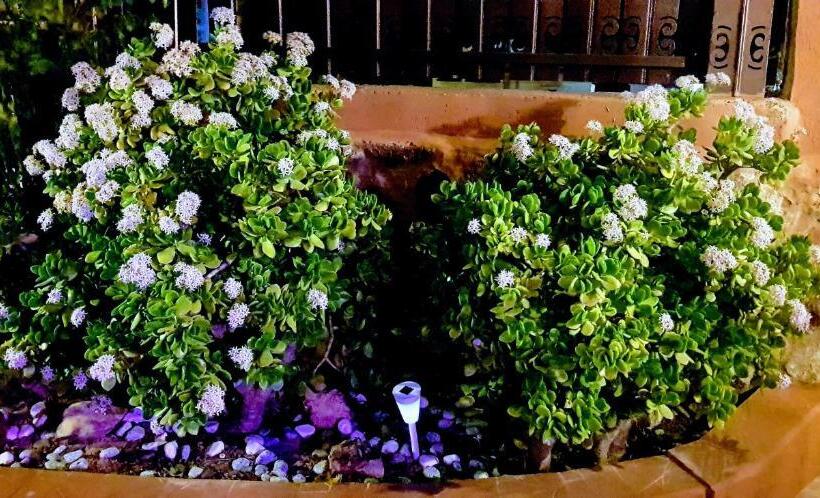 스탠다드 룸, Dead Sea Sun Guest House