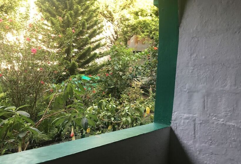 标准间, La Petite Auberge Hostel