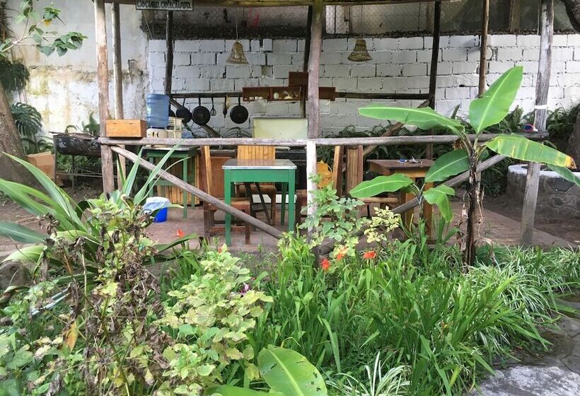 四人标准间, La Petite Auberge Hostel