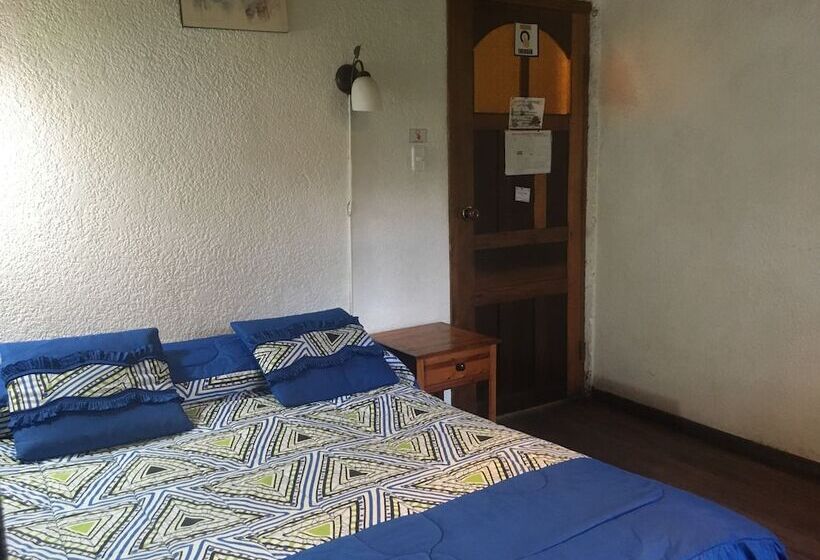 家庭间, La Petite Auberge Hostel