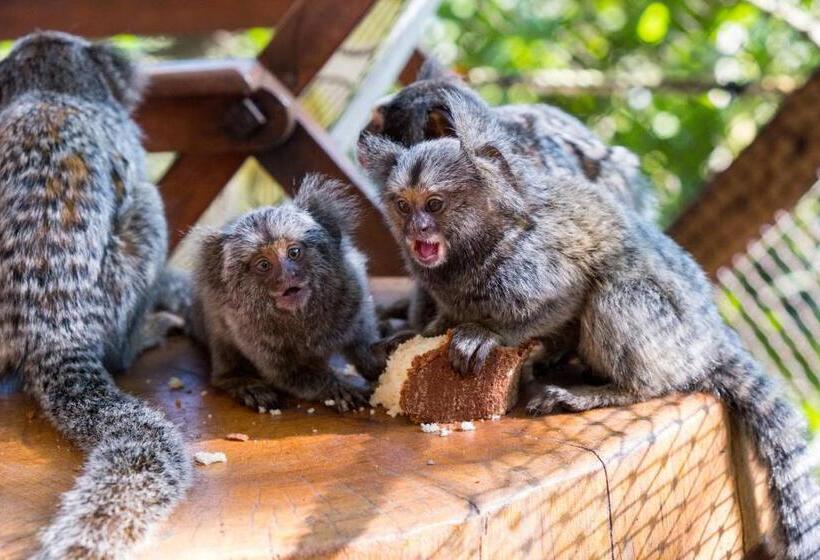 Standard Værelse til 4 pers. Haveudsigt, Paraty Paradiso