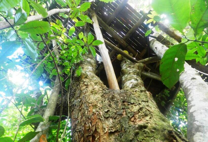 Hus 1 Soveværelse, Paraty Paradiso