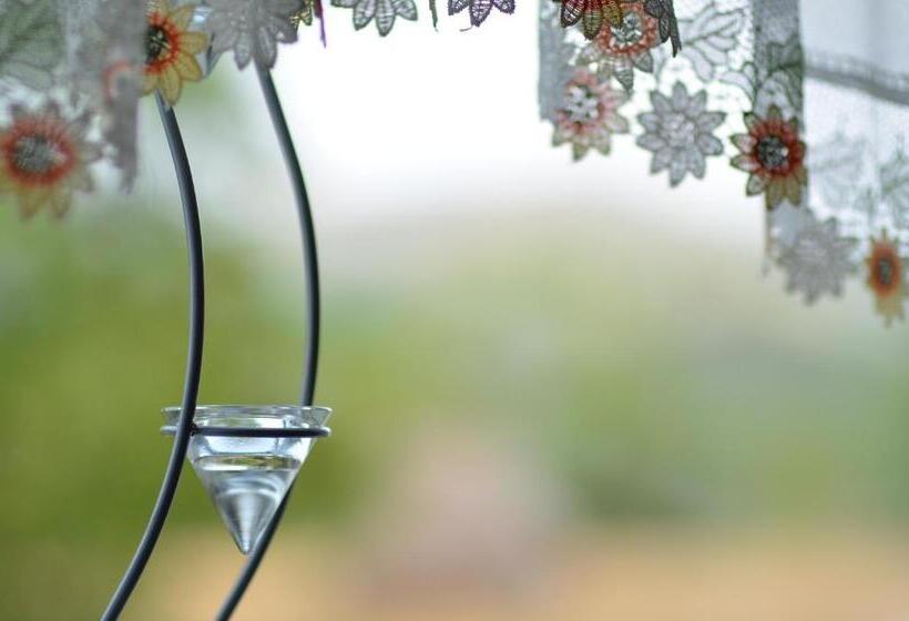 Номер Стандарт, Pensiunea Poezii Alese