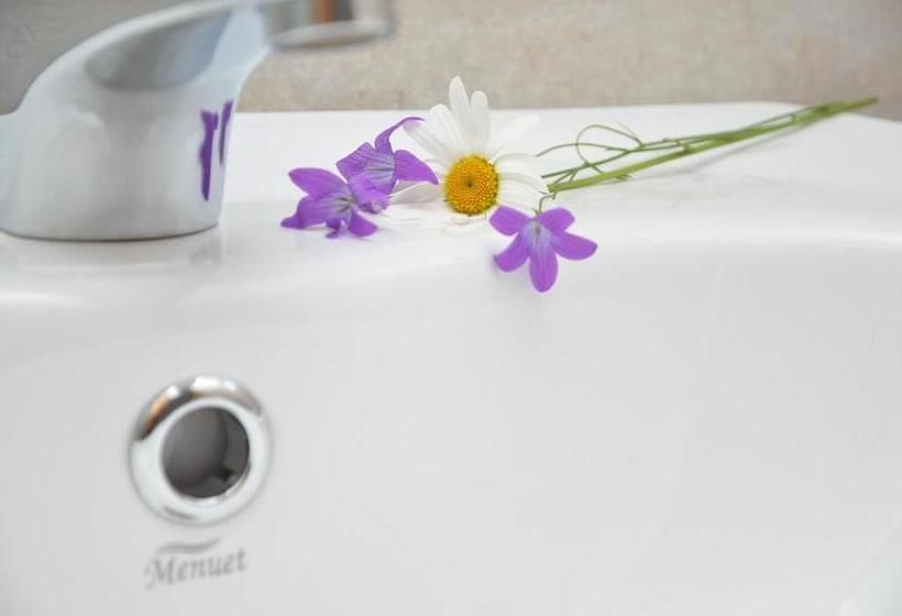 Номер Стандарт, Pensiunea Poezii Alese