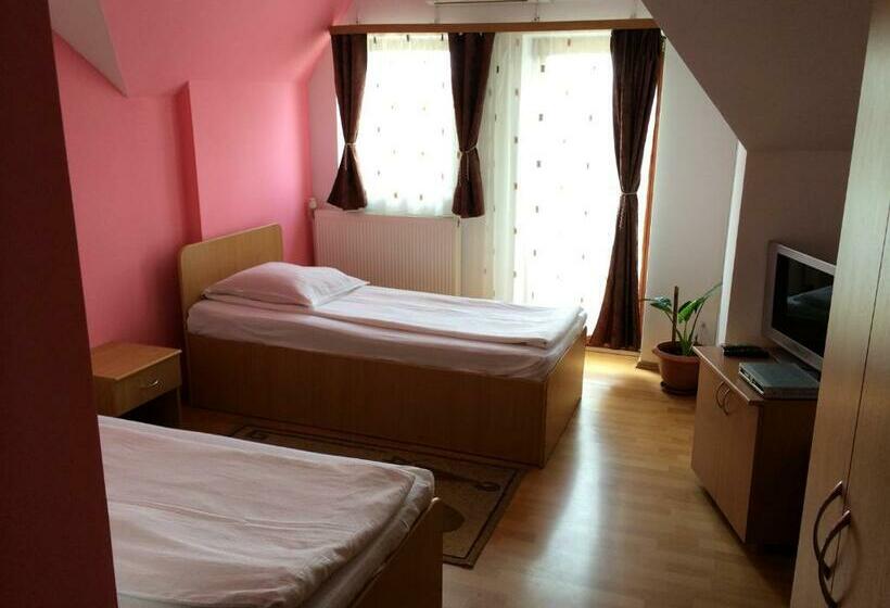 Номер Стандарт, Pensiunea Simina