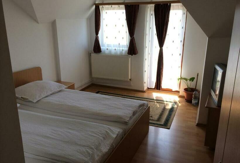 Номер Стандарт, Pensiunea Simina