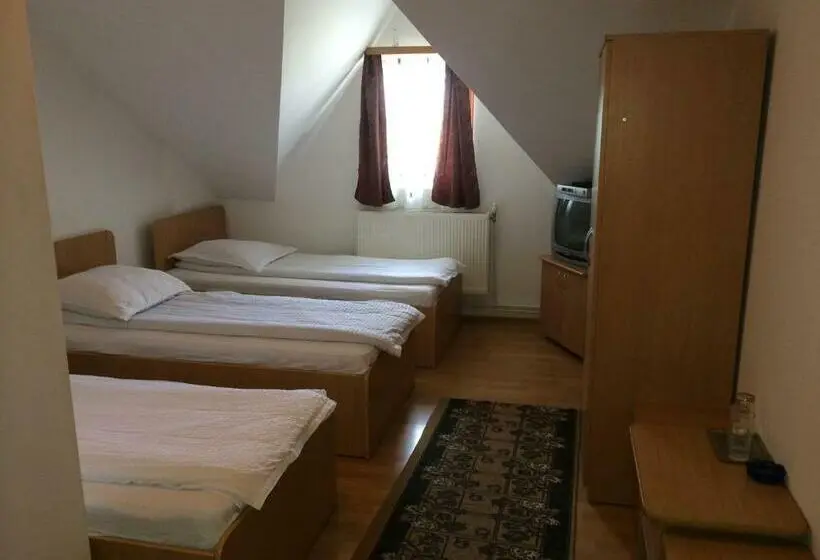 Standard Kolmen Hengen Huone, Pensiunea Simina