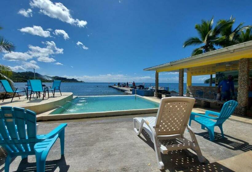 一居室别墅, Scubaportobelo