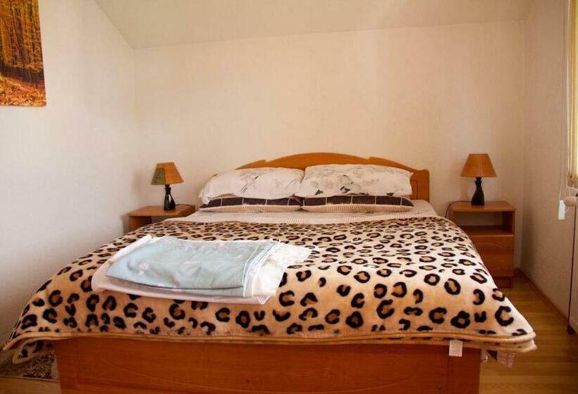 اتاق استاندارد با سرویس بهداشتی مشترک, Guesthouse Relax And Fly Sarajevo