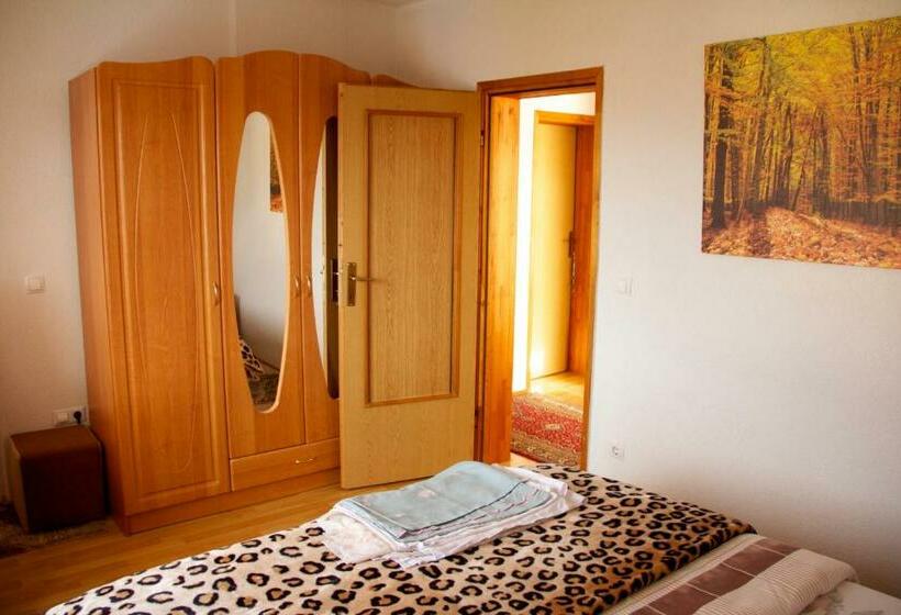 اتاق استاندارد با سرویس بهداشتی مشترک, Guesthouse Relax And Fly Sarajevo