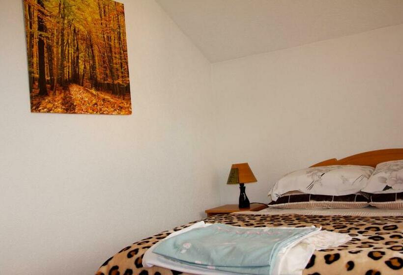 اتاق استاندارد با سرویس بهداشتی مشترک, Guesthouse Relax And Fly Sarajevo