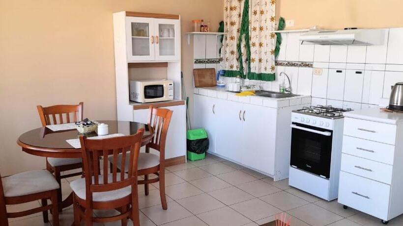 آپارتمان 1 خوابه, Sol De Paracas Apart