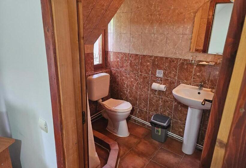 Номер Стандарт, Pensiunea Printul Vlad