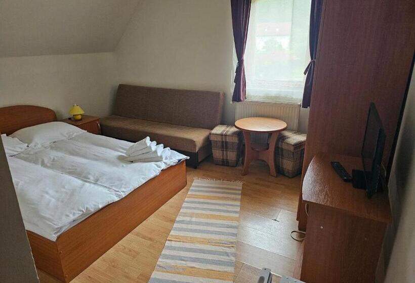 Номер Стандарт, Pensiunea Printul Vlad