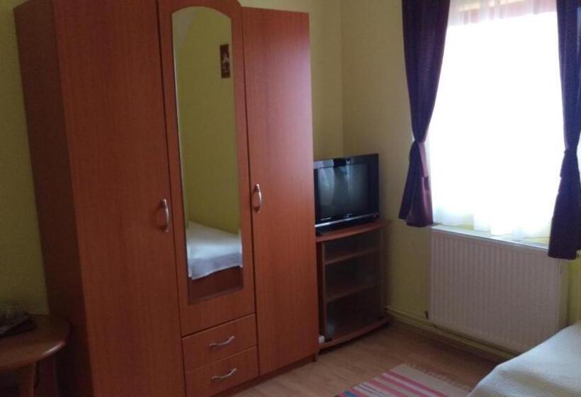 Номер Стандарт Трехместный, Pensiunea Printul Vlad