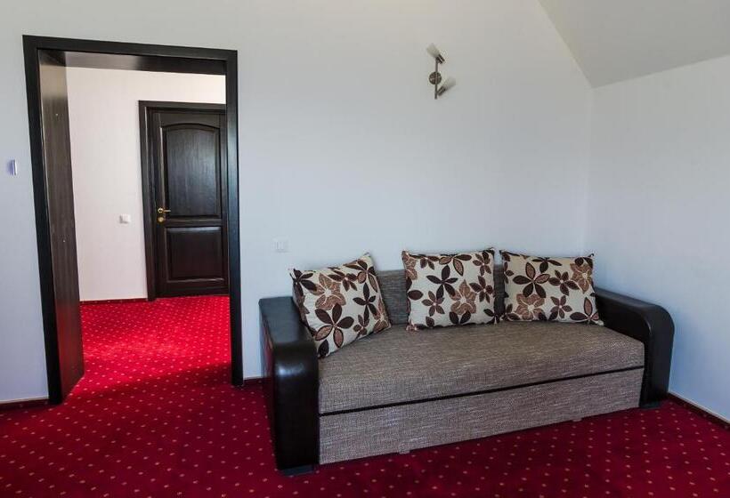 סטודיו סטנדרט עם מרפסת, Pensiunea Soarelui