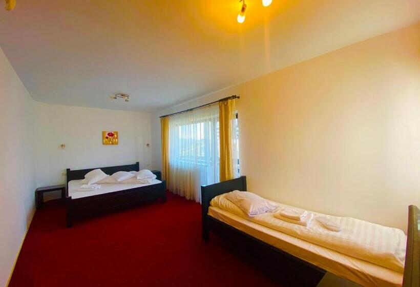 חדר סטנדרט, Pensiunea Soarelui