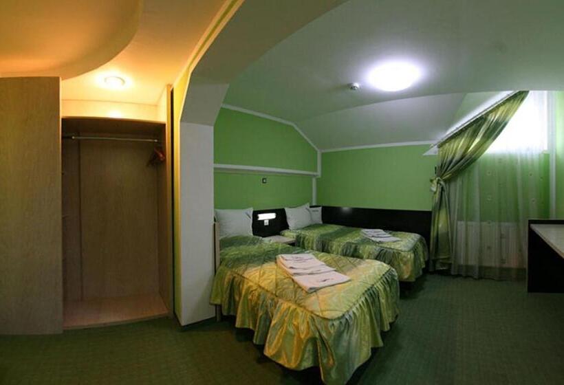 标准间, Pensiunea Soferul Norocos