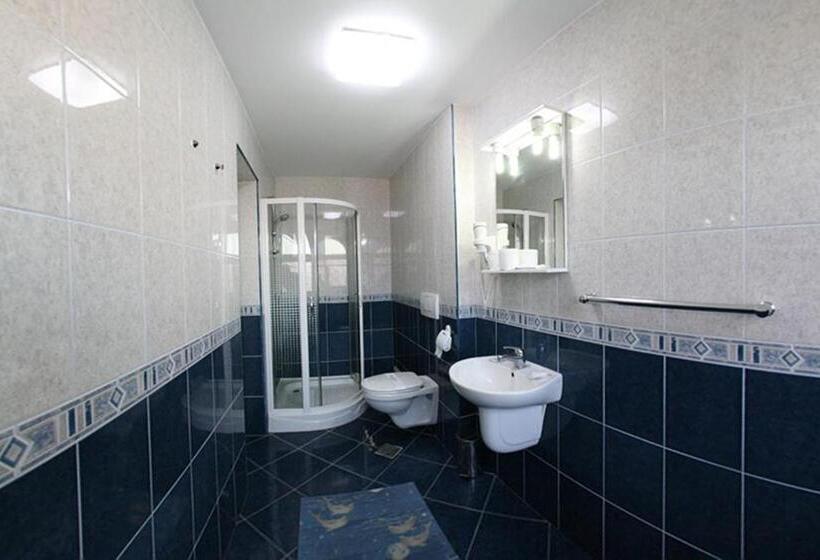 标准三人间, Pensiunea Soferul Norocos