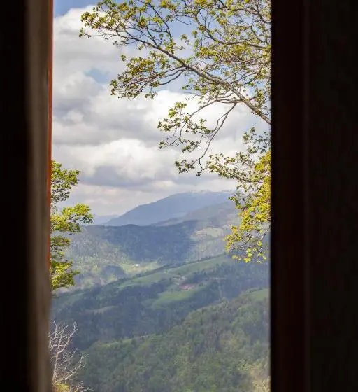 آپارتمان 1 خوابه با چشم‌انداز, Farmstay&glamping Visočnik