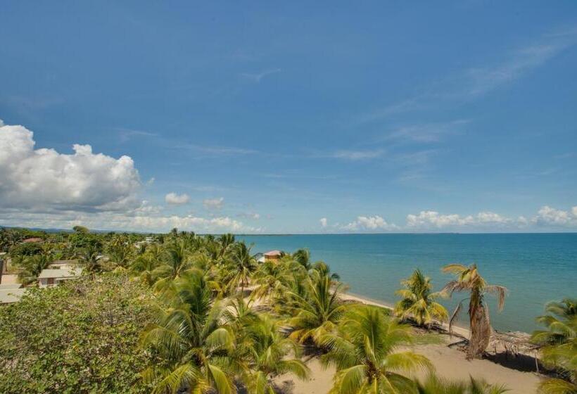 キングサイズベッドのデラックスルーム, Buttonwood Belize