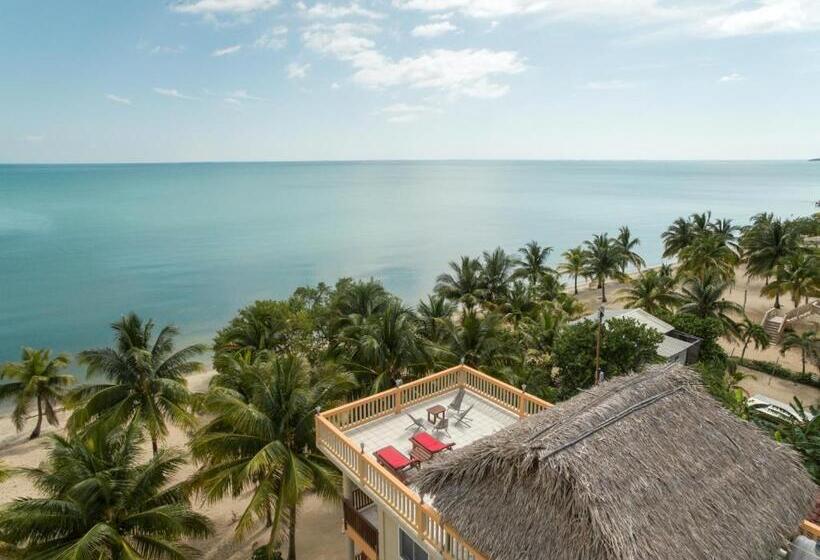 キングサイズベッドのスーペリアルーム, Buttonwood Belize