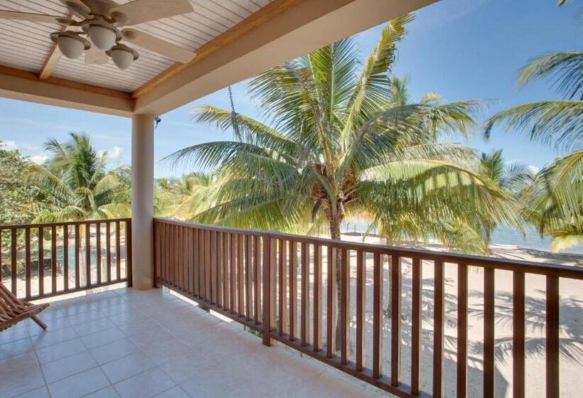 キングサイズベッドのスーペリアルーム, Buttonwood Belize