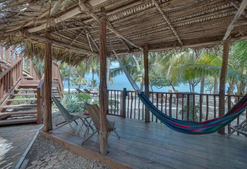2ベッドルームアパートメント, Buttonwood Belize