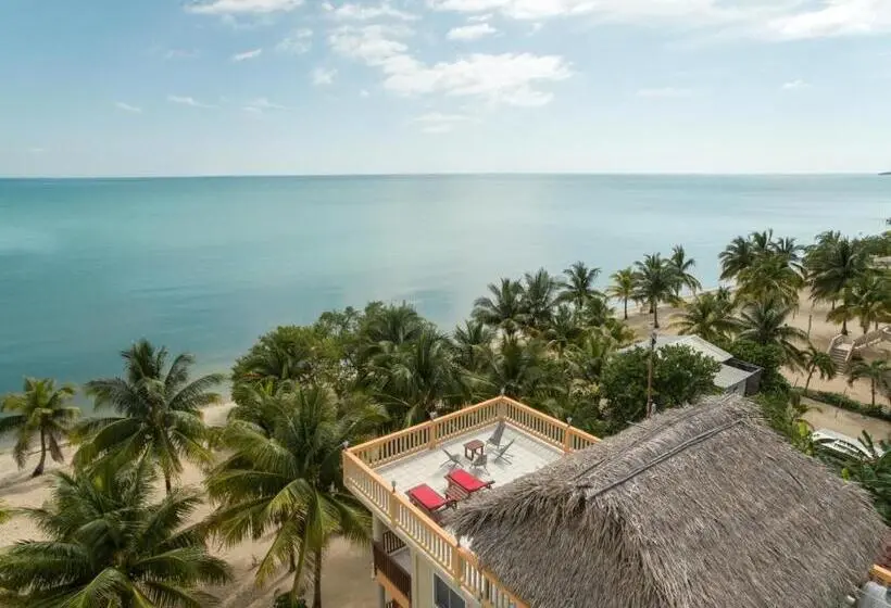 استودیوی استاندارد با چشم‌انداز دریا, Buttonwood Belize
