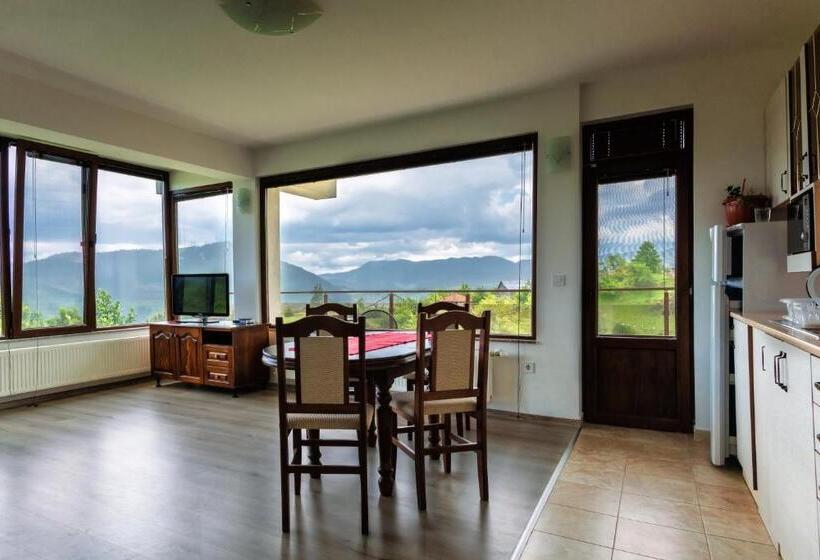 １ベッドルームアパートメント, Guest House Panorama